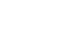 Nerve conduction study