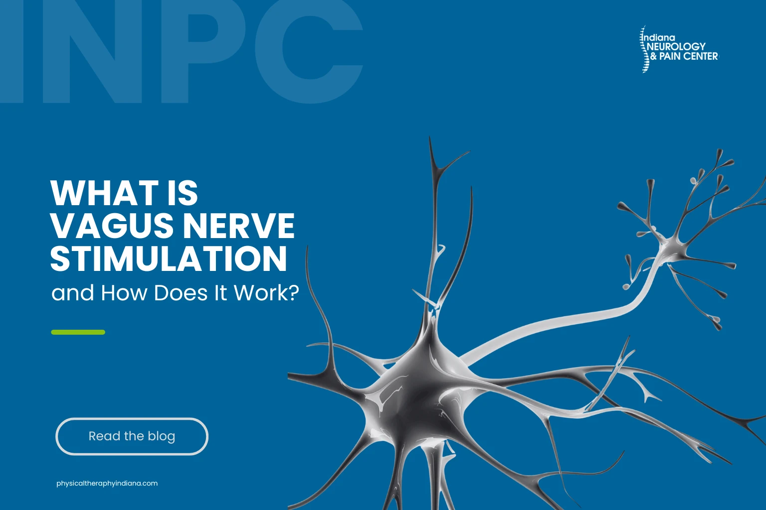 Read more about the article What Is Vagus Nerve Stimulation and How Does It Work?