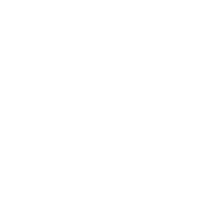 Vagus nerve stimulation